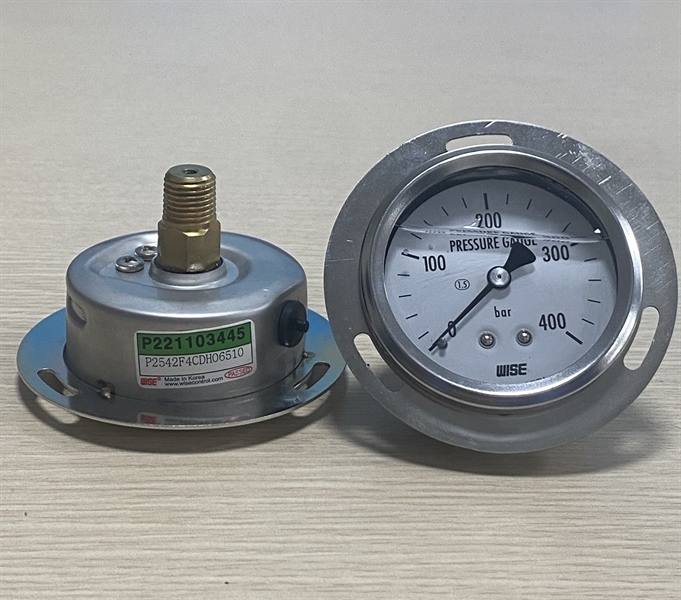 Đồng hồ đo áp lực Wise P254